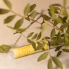 comex-syrovatka-dlia-rostu-vii-ta-briv-z-arganoiu-12ml-3 Сироватка COMEX для росту вій та брів з арганою, 12 мл